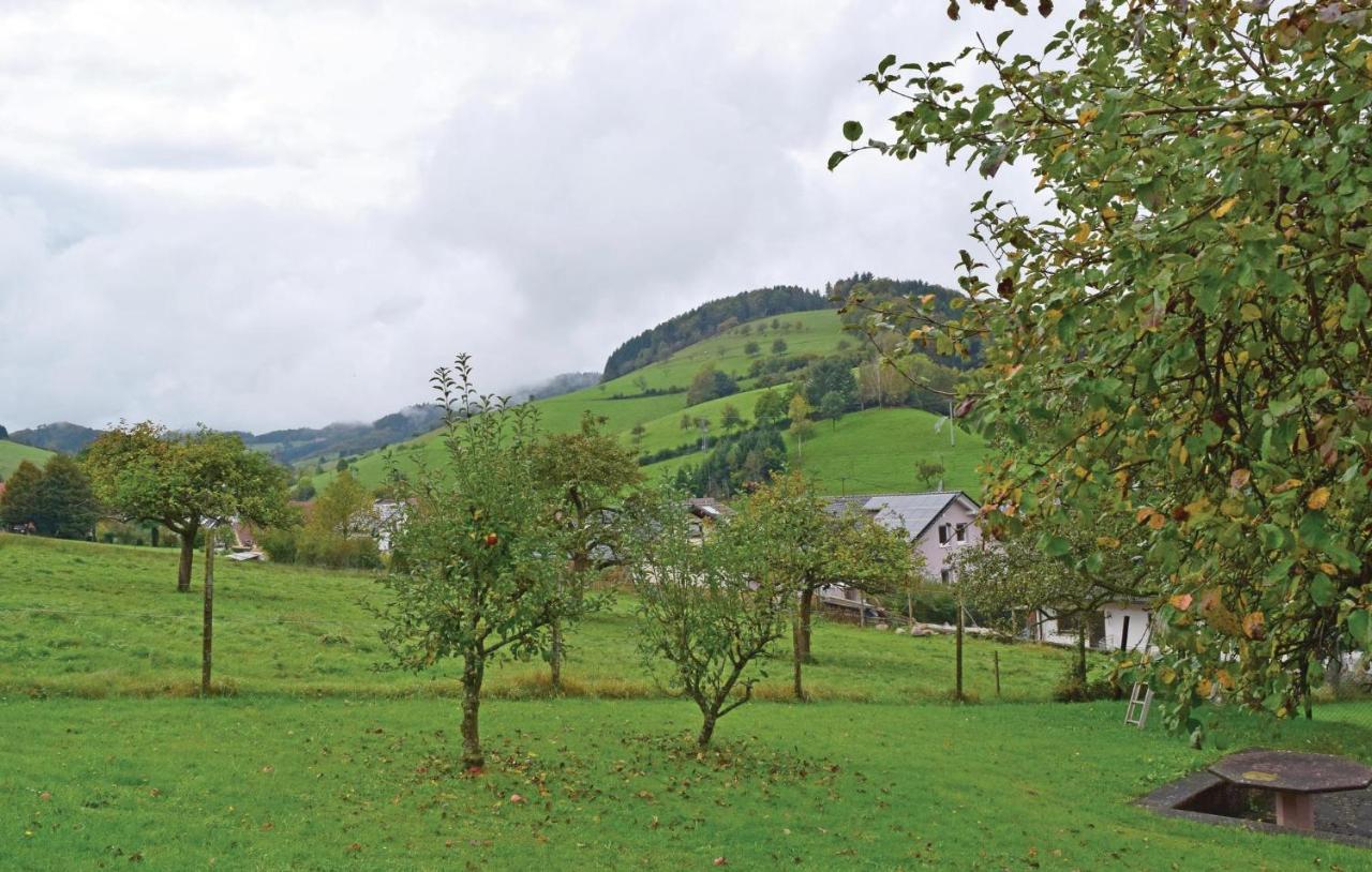 2 Bedroom Awesome Apartment In Welschensteinach Exterior foto